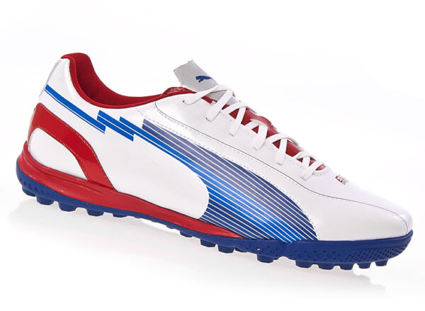 BUTY PUMA  EVO SPEED 5 TT  /102588 01