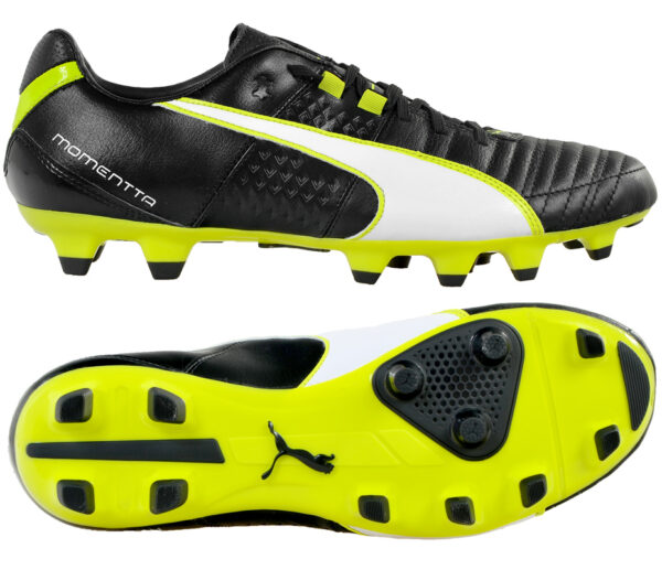 BUTY PUMA MOMENTTA II  FG /103151 03